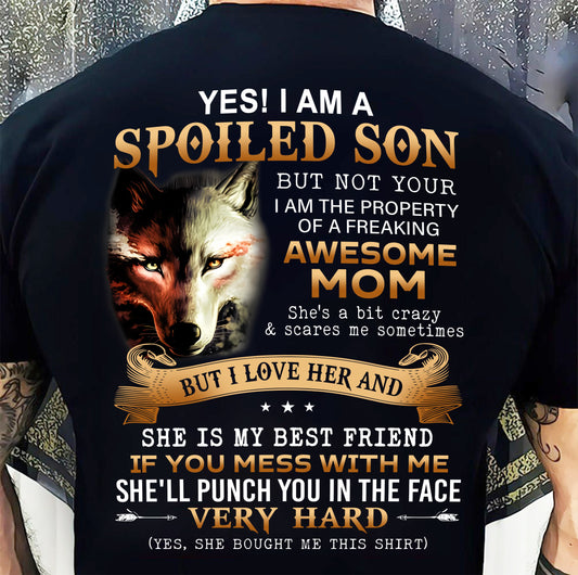 Lucky Son of Awesome Mom - Perfect Gift for Son From Mom - ntnt00 (SKU10-128-00)