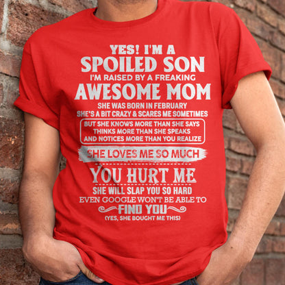February - Awesome Mom - Perfect Gift For Your Spoiled Son From Mom - ntnt02 (SKU05-47-02)