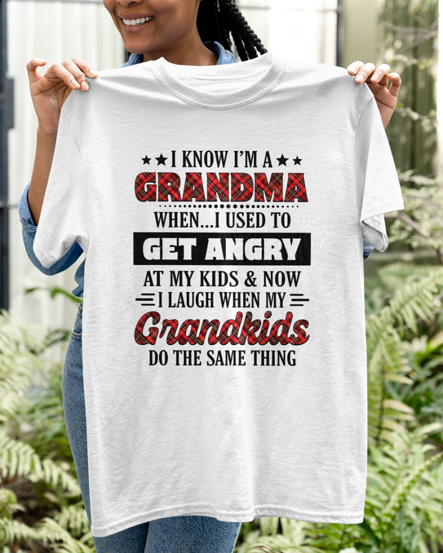 KNOW I'M A GRANDMA WHEN... I USED TO GET ANGRY AT MY KIDS & NOW I LAUGH WHEN MY GRANDKIDS DO THE SAME THING - from grandma ntnt00 (SKU07-111)