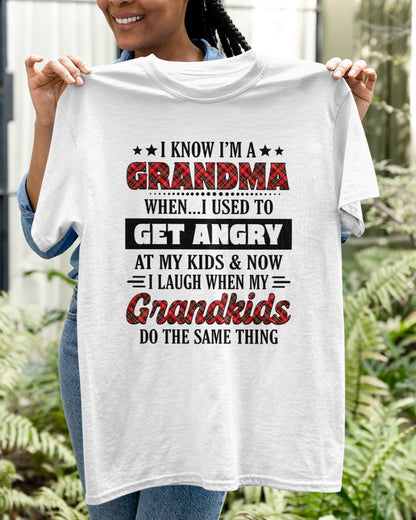 KNOW I'M A GRANDMA WHEN... I USED TO GET ANGRY AT MY KIDS & NOW I LAUGH WHEN MY GRANDKIDS DO THE SAME THING - from grandma ntnt00 (SKU07-111)