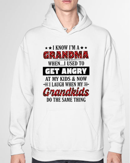KNOW I'M A GRANDMA WHEN... I USED TO GET ANGRY AT MY KIDS & NOW I LAUGH WHEN MY GRANDKIDS DO THE SAME THING - from grandma ntnt00 (SKU07-111)