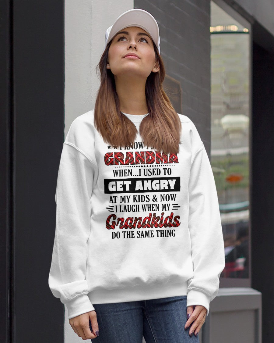 KNOW I'M A GRANDMA WHEN... I USED TO GET ANGRY AT MY KIDS & NOW I LAUGH WHEN MY GRANDKIDS DO THE SAME THING - from grandma ntnt00 (SKU07-111)